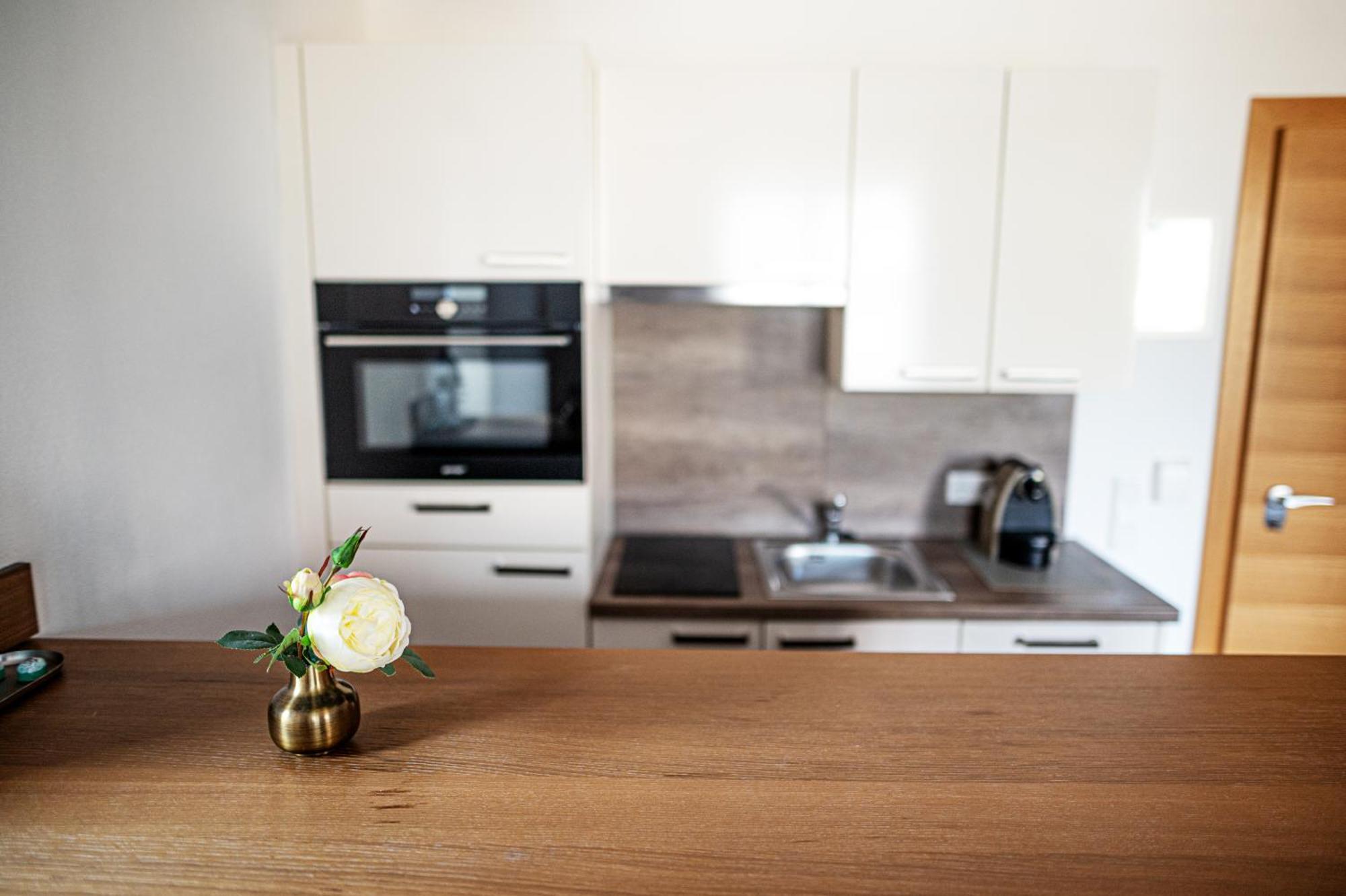 Apartmenthotel 'S Mitterndorf Traunkirchen Extérieur photo